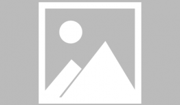 麻豆骗局,网络交友背后的陷阱与警示